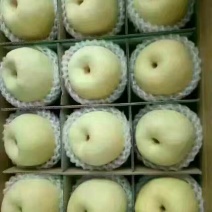 早酥梨纸袋