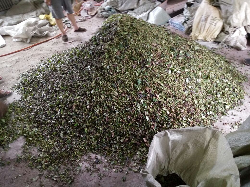 展示青翘成品的包装盒与销售场景,适用于电商或线下零售环境 青翘产品包装与销售场景图