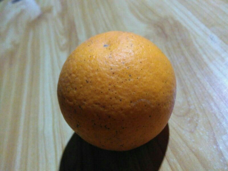 展示一颗完整的丑八怪柑桔,果皮粗糙、颜色橙黄,果肉晶莹剔透 丑八怪柑桔特写