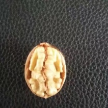 薄皮核桃