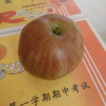 玉露香350~400g膜袋