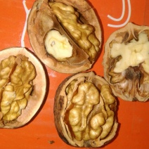 薄皮核桃去皮干