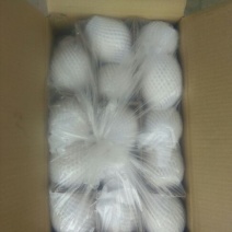 皇冠梨250~300g纸袋