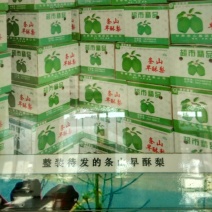 早酥梨550~600g筐装