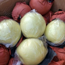 黄金梨350~400g纸袋