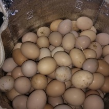 土鸡蛋食用50g以下