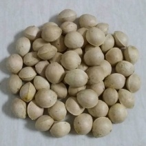 银杏果