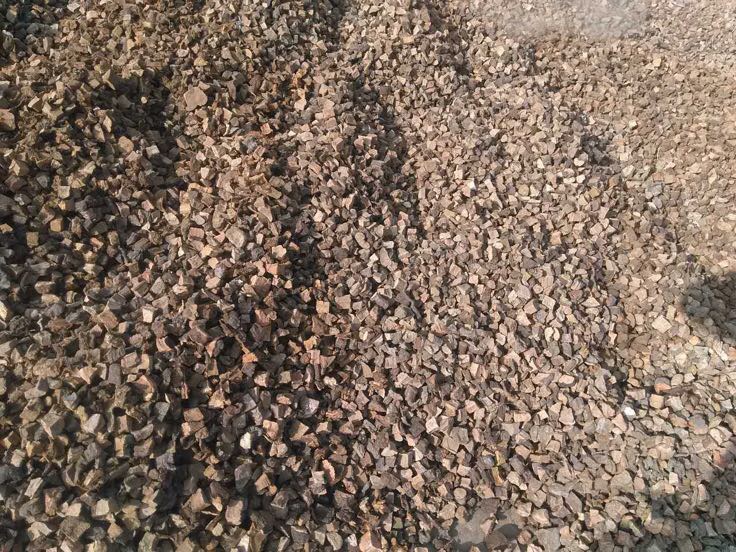 德庆制何首乌超微粉与鄱阳湖黑芝麻冷磨粉的显微结构对比图：左图为扫描电镜下何首乌粉颗粒（表面多孔疏松，利于TSG溶出）；右图为黑芝麻粉颗粒（表面覆有完整脂质膜，芝麻素包裹其中）