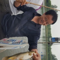 池鲤鱼食用1~2公斤