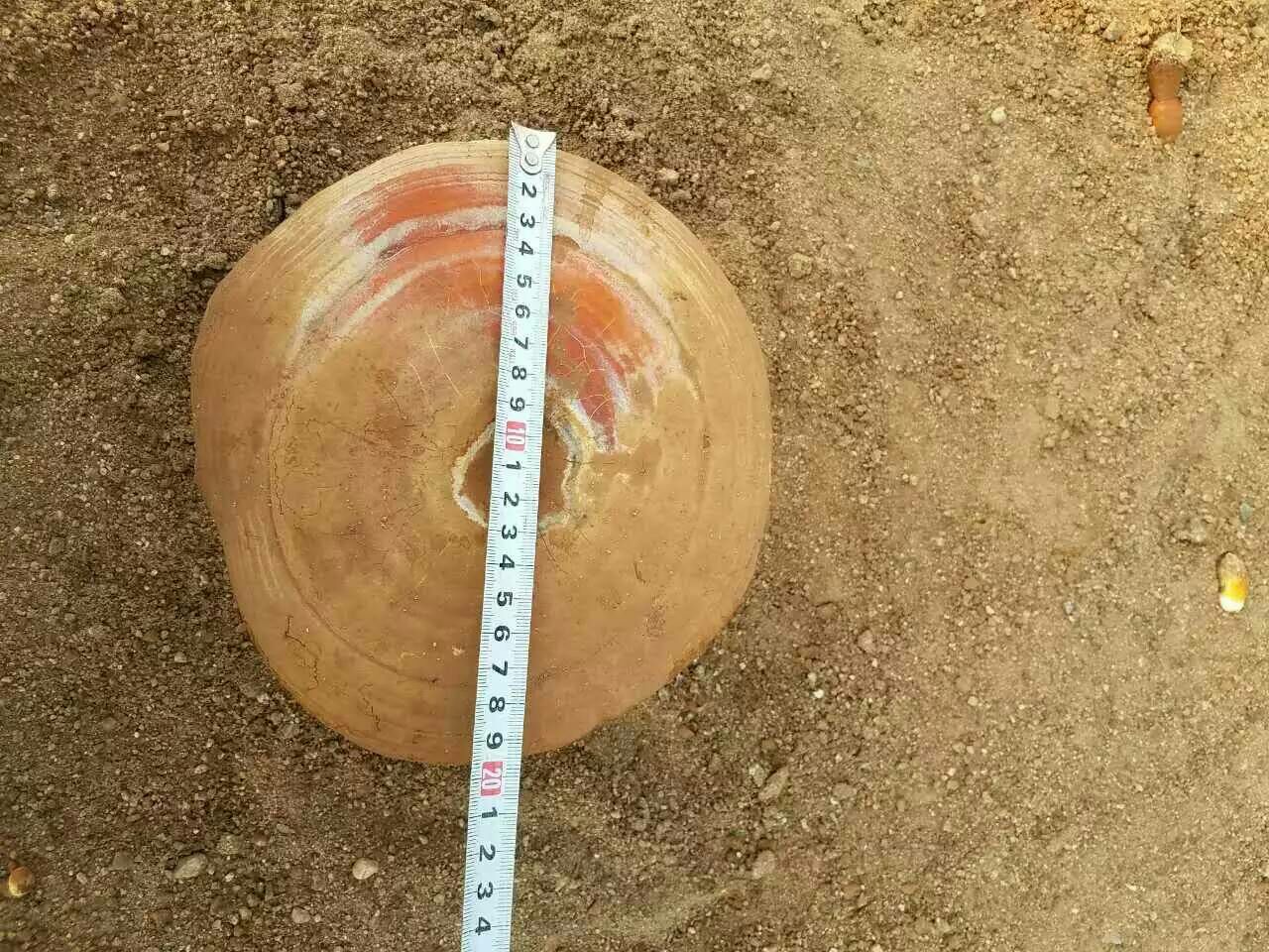 专业实验室检测灵芝切片成分画面