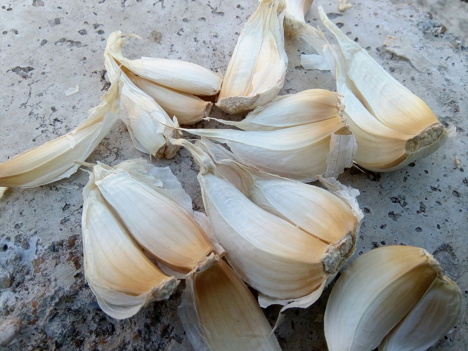 白皮蒜头与蒜瓣特写