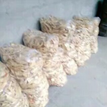 豆腐皮