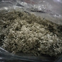藤条茶一级