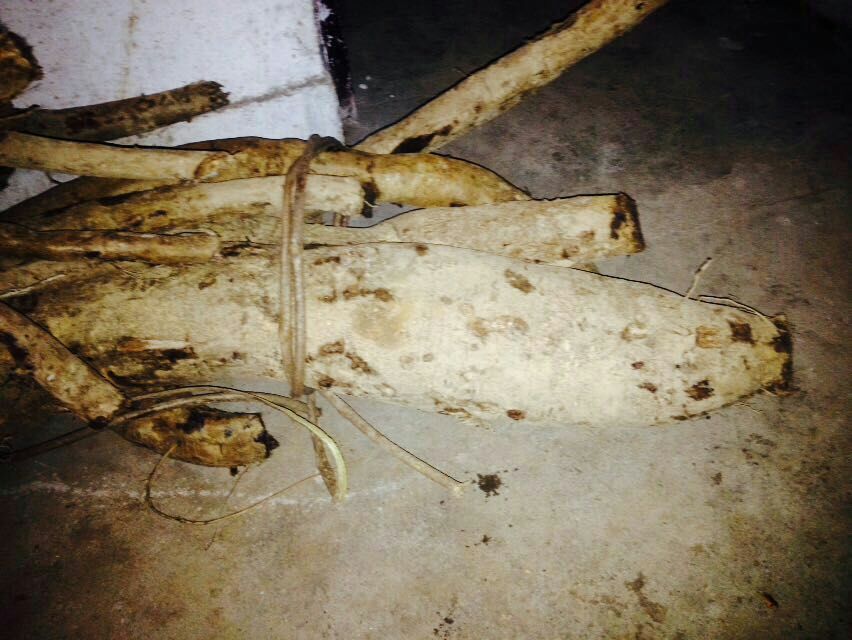 葛根与葛根花的对比图