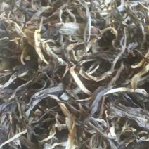 普洱茶