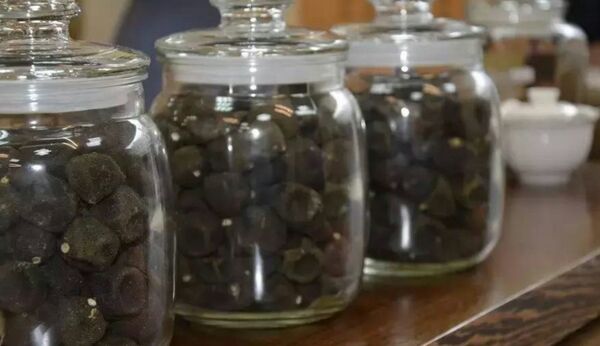 甜橙枳实现代产品展示