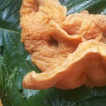 产地榆耳，酒店特色食材榆耳菌榆耳菇好榆耳优质榆耳自产自销