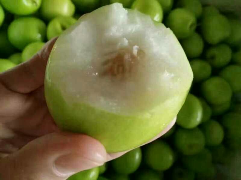 切开的青枣展示内部结构