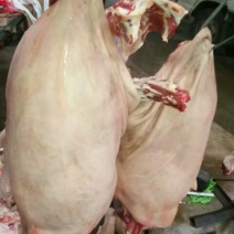 马肉鲜货