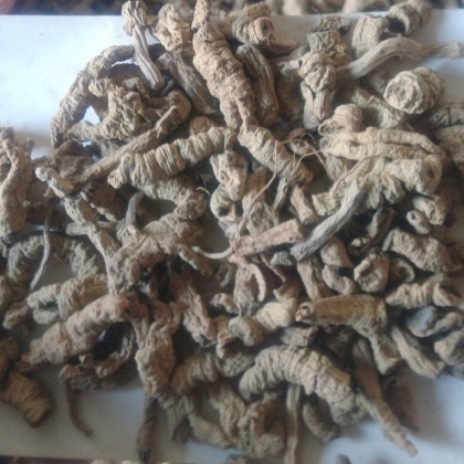 巴戟天价格行情_今日巴戟天价格多少钱一斤 _ 一亩田