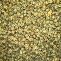 珍珠菊花茶