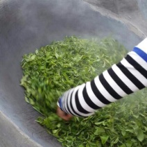 古树普洱茶特级
