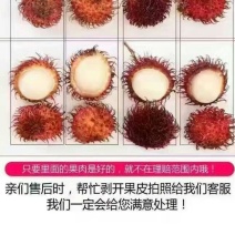 毛丹2cm以上