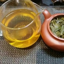 普洱茶
