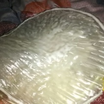 绿豆粉皮包装手工粉皮