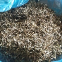 古树普洱茶特级