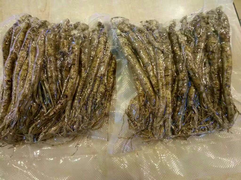 鲜人参清洗前后对比图