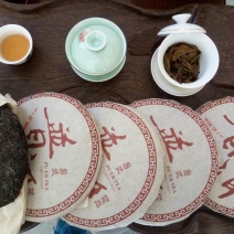 百年大树茶特级