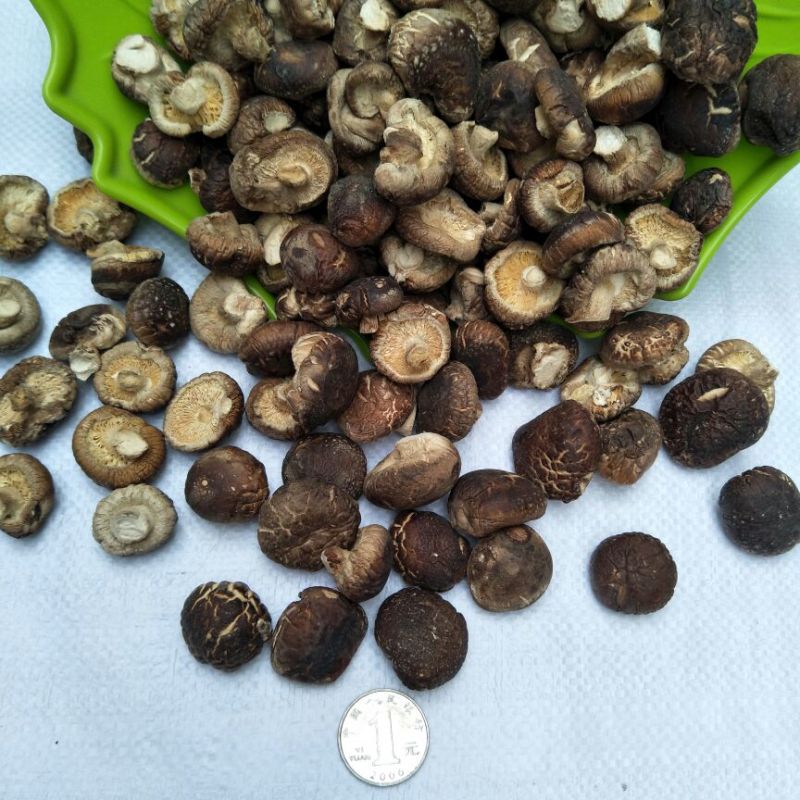 虎皮香菇2~3cm金钱菇小小香菇干货