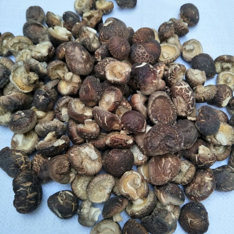 虎皮香菇2~3cm金钱菇小小香菇干货