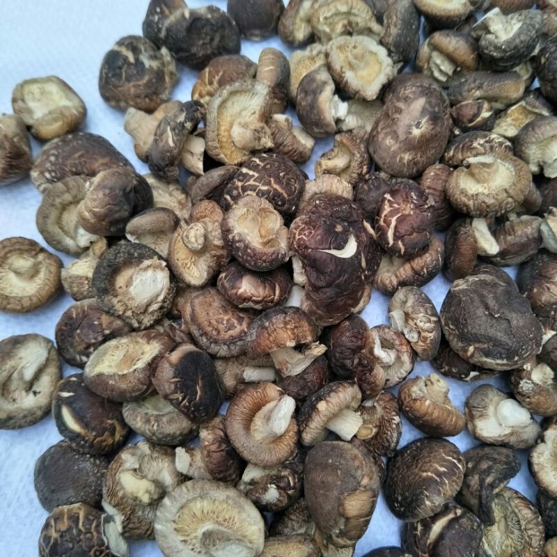 虎皮香菇2~3cm金钱菇小小香菇干货