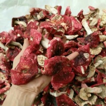 湖北红菇大红菌干货野生菌干品