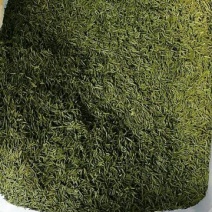 川茶特级