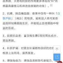 桑葚干