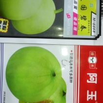 甜瓜种子
