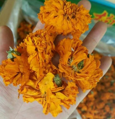 万寿菊优质万寿菊干花