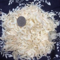 虾皮