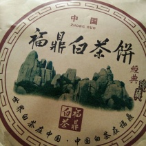白牡丹
