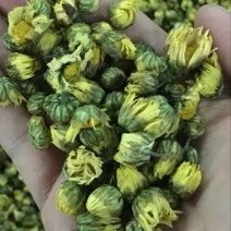 白菊花茶