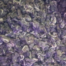 普洱绿茶