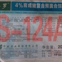 猪饲料6个月