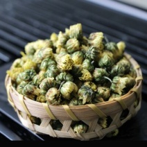 杭州白菊