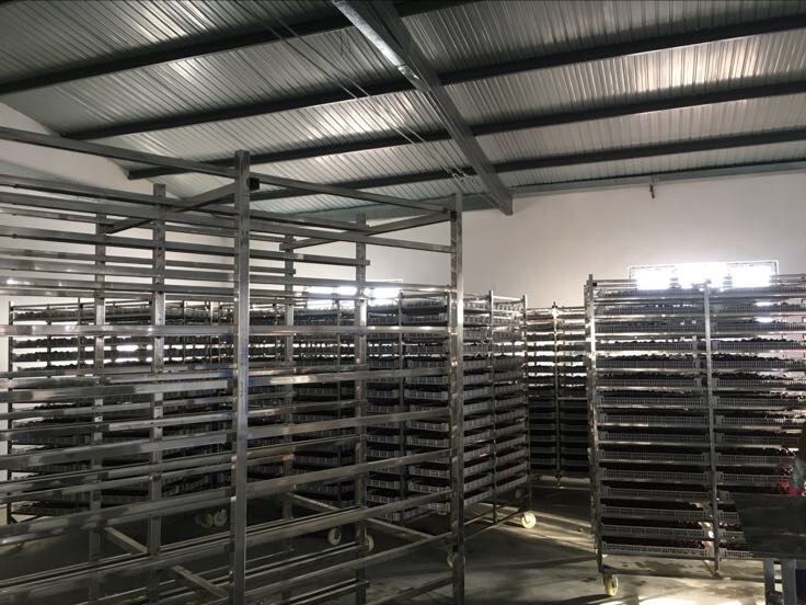 骏枣加工生产线场景