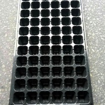 穴盘