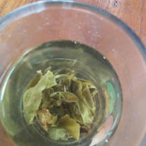 古树普洱茶一级