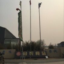 红薯淀粉
